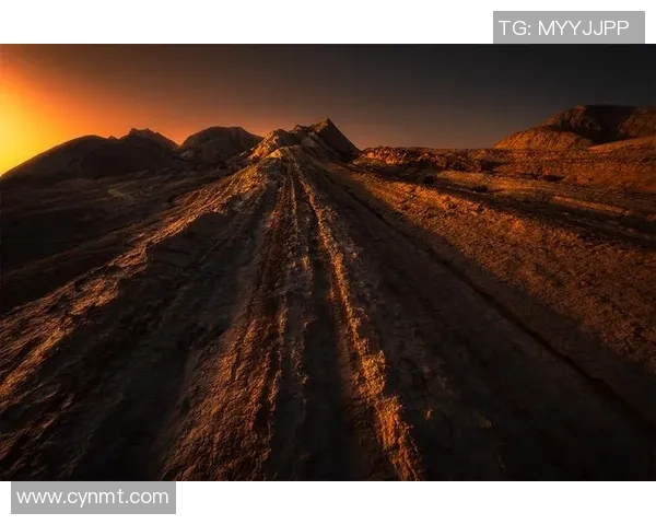 燃情岁月中的火焰足球画展现激情与梦想的交织之美