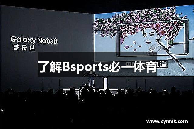 了解Bsports必一体育